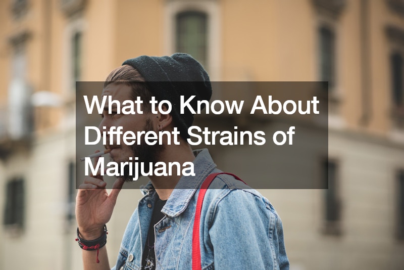 What to Know About Different Strains of Marijuana